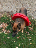 Pet/Child overboard foam life belt with integrated SS "D" rings and SS clip